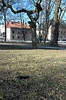 1hunivpark050403.jpg