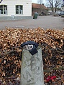 4dekanhusvantar1.jpg
