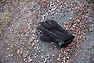 DSC_0049.JPG