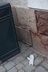 DSC_0407.JPG