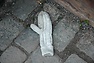 DSC_0408.JPG