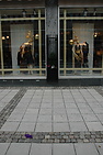 DSC_0629.JPG