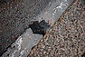 dsc_0679.jpg