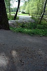 DSC_0710.JPG