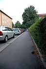 DSC_1685.JPG