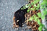 DSC_1687.JPG
