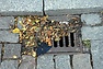 DSC_1892.JPG