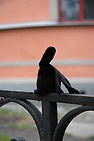 DSC_2128.JPG