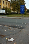 DSC_2174.JPG