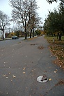 DSC_2176.JPG