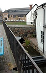 DSC_2326.JPG