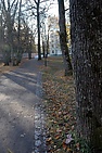DSC_2380.JPG