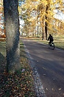 DSC_2381.JPG