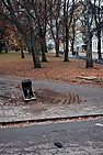 DSC_2454.JPG