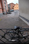 DSC_2461.JPG