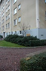 DSC_2520.JPG