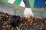 DSC_2557.JPG