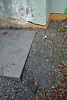 DSC_2585.JPG