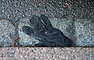 DSC_2599.JPG