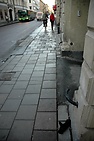 DSC_2617.JPG