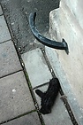 DSC_2618.JPG