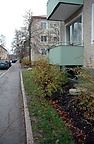 DSC_2630.JPG