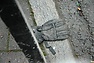 DSC_2652.JPG