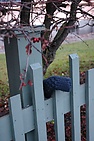 DSC_2687.JPG