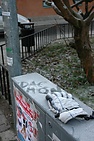 DSC_2829.JPG
