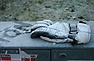 DSC_2830.JPG