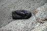 DSC_2846.JPG