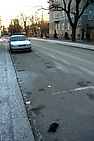 DSC_2864.JPG