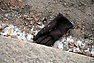 DSC_2975.JPG