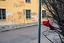 DSC_2977.JPG