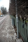 DSC_2985.JPG