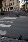 DSC_3012.JPG