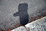 DSC_3016.JPG