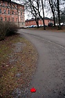 DSC_3067.JPG