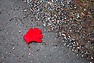 DSC_3069.JPG