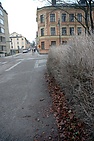 DSC_3077.JPG