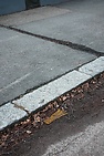 DSC_3106.JPG