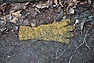 DSC_3110.JPG