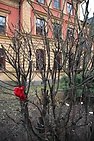 DSC_3113.JPG