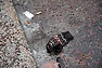 DSC_3136.JPG