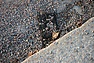 DSC_3161.JPG