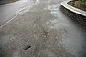 DSC_3269.JPG