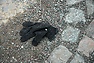 DSC_3317.JPG