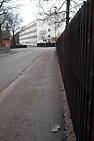 DSC_3332.JPG