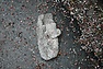 DSC_3334.JPG