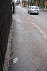 DSC_3335.JPG